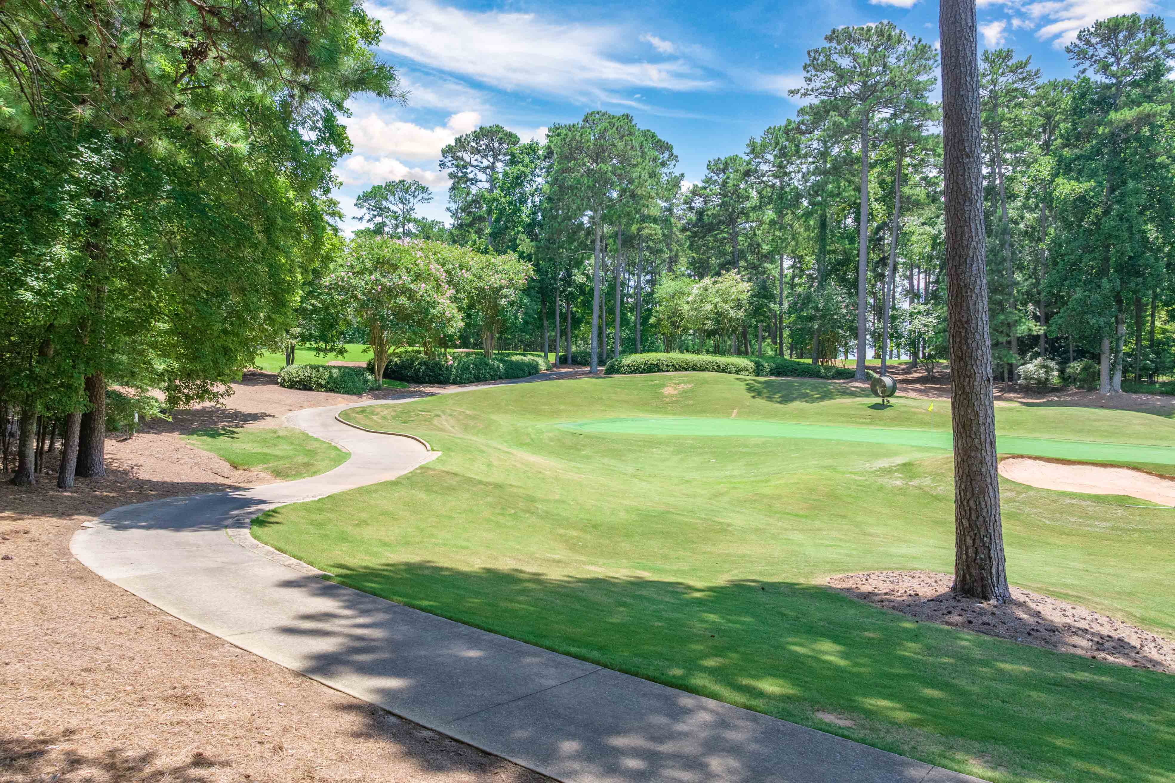 1131 Scull Shoals Drive image 50